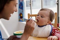 سعی کنید اینگونه به کودکتان غذا بدهید- سعی کنید اینگونه به کودکتان غذا بدهید